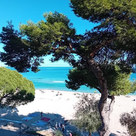 Beach House 蒙德罗 外观 照片